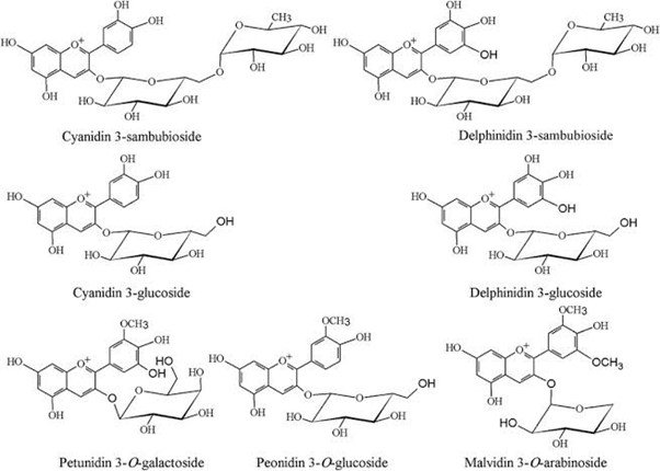Chemical Constituent